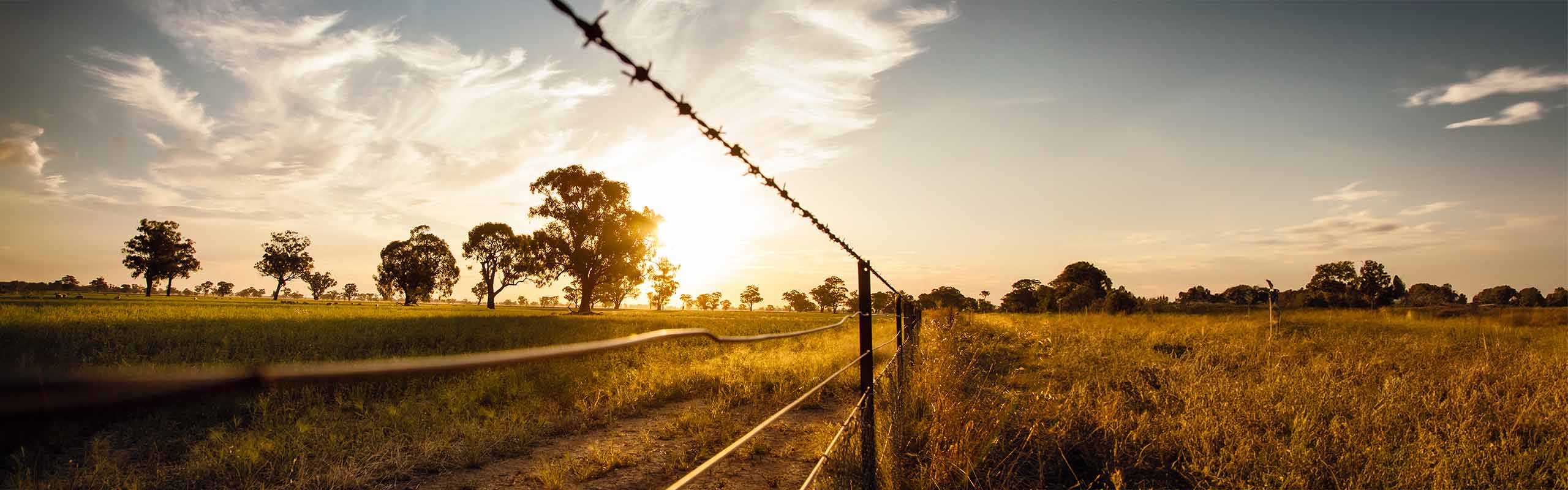 qld wire fencing wholesalers